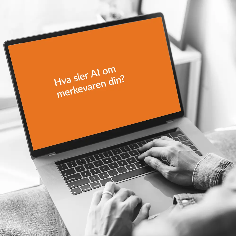 AI Synlighetsanalyse
